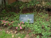 贵阳广告标牌设计制作 传媒广电领域的专业解决方案